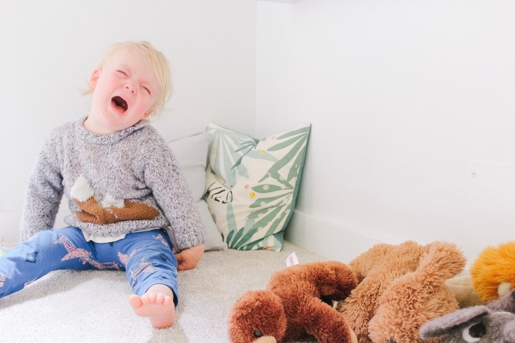 10771302848_img_5073